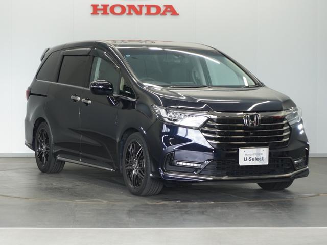 オデッセイ アブソルート・EX 2年保証ナビ全周囲カメDレコETC2.0両電扉(18枚目)