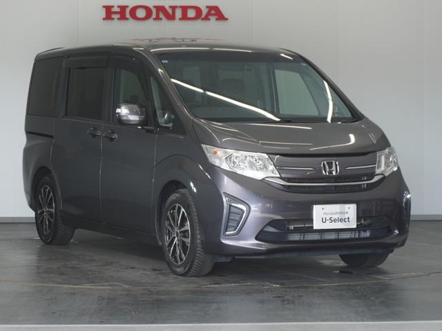 ステップワゴン Ｇ　１年保証ナビ全周囲カメＤレコ片電扉ＢＴ（13枚目）