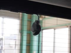 μ֤ˤϥꥢˤɥ饤֥쥳ƤޤʤɤϿ뼫ưѤ֤Ǥ⤷λΤκݤεϿϤιԤκݤλפФȤƥɥ饤֤αڤळȤǤޤ 5