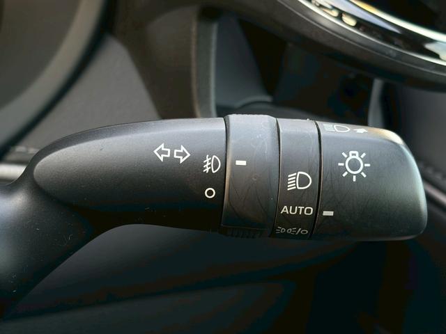 ハリアー Ｚ　ワンオーナー　ユーザー買取　禁煙　ＪＢＬスピーカー　純正ナビ　全周囲モニター　ドラレコ型デジタルインナーミラー　ハーフレザー　レーダークルーズ　ＨＵＤ　パワーテールゲート　純正１９ＡＷ　車検整備付（32枚目）