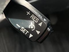 �����ƥ��� �����饹���ر졡�����ʥӡ��Хå�����顡ξ¦�ѥ���饤�� 0700708A30260120W002 6