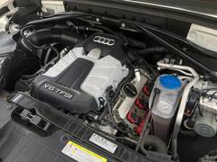 �ӣѣ� �١������졼�ɡ��桼������衡���������󥹣Уˣǡ������֥ʥåѥ쥶�� 0700708A30260128W001 6