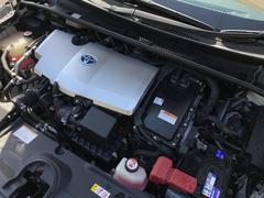 �ץꥦ�� �ӡ���󥪡��ʡ����ر졡�����ʥӡ��Хå������ 0700708A30260301W001 6