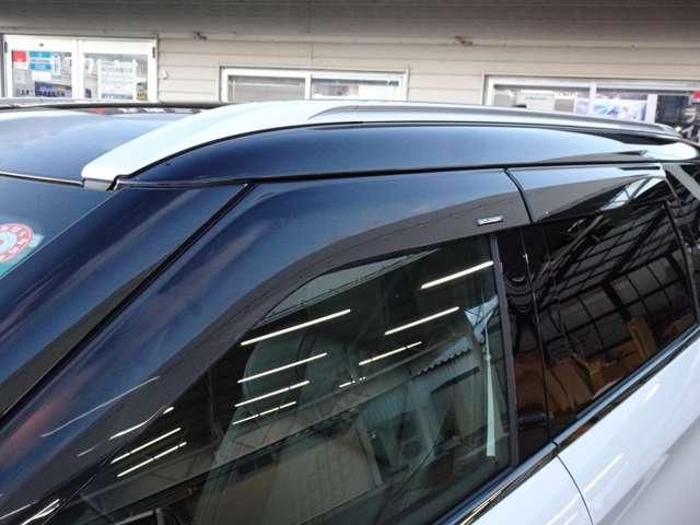 �G�N�V�[�h�o�C�U�[