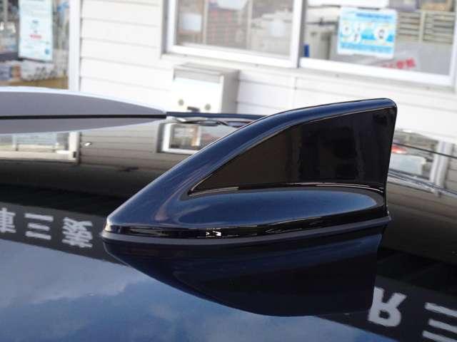 �V���[�N�t�B���A���e�i