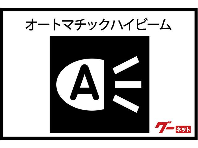 Ｇ　メモリーナビ　バックカメラ　衝突被害軽減ブレーキ　後側方車両検知　後退時車両検知警報システム　運転席助手席シートヒーター　ハンドルヒーター(49枚目)