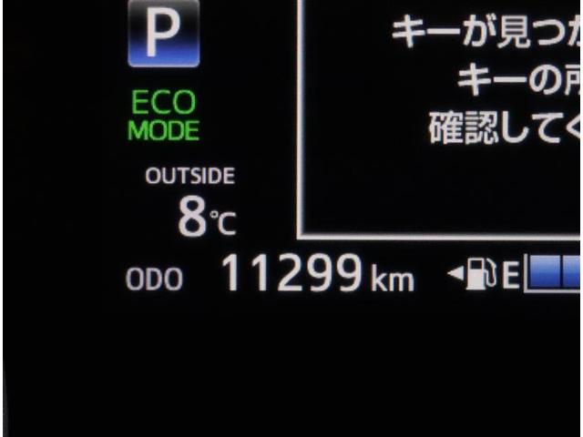 ハイブリッドG クエロ(5枚目)