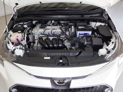 ġ ֥Хӡ꡼ʥӡߥ塼åץ쥤䡼³ġХå顡ﳲڸƥ 0700804A20251205T006 6