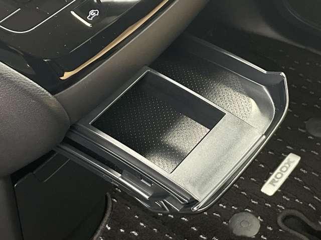 �����u���ƃh�����N�z���_�[���˂����[�|�P�b�g������܂��B