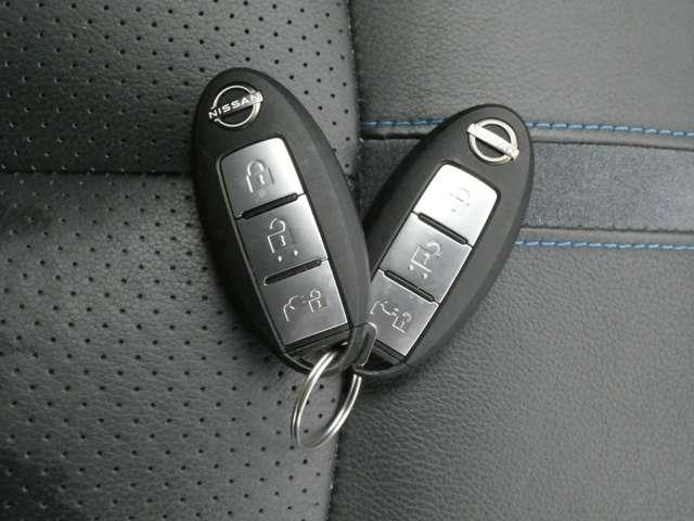 リーフ e+ G プロパイロット・ハイビームアシスト・スマ 寒冷地仕様 インテリジェントアラウンドビューモニター LEDヘッド インテリジェントキー レーダークルコン ドライブレコーダー 車線逸脱 メモリーナビ ETC パーキングアシスト 1オーナー Bカメラ(8枚目)