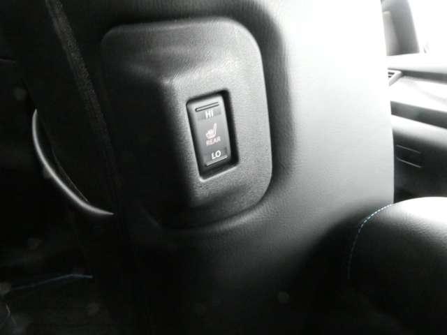 リーフ e+ G プロパイロット・ハイビームアシスト・スマ 寒冷地仕様 インテリジェントアラウンドビューモニター LEDヘッド インテリジェントキー レーダークルコン ドライブレコーダー 車線逸脱 メモリーナビ ETC パーキングアシスト 1オーナー Bカメラ(16枚目)