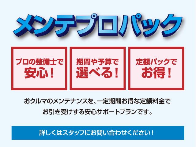 ルークス ６６０　Ｘ　前後ドラレコ　両側オートスライド　エマジェンシーブレーキ　禁煙　全方位Ｍ　ＥＴＣ　スマートキープッシュスタート　Ｉ－ＳＴＯＰ　車線逸脱警報装置　ドライブレコーダー　１オーナー　ＬＥＤ　オートエアコン　サイドエアバック　メモリーナビ（47枚目）