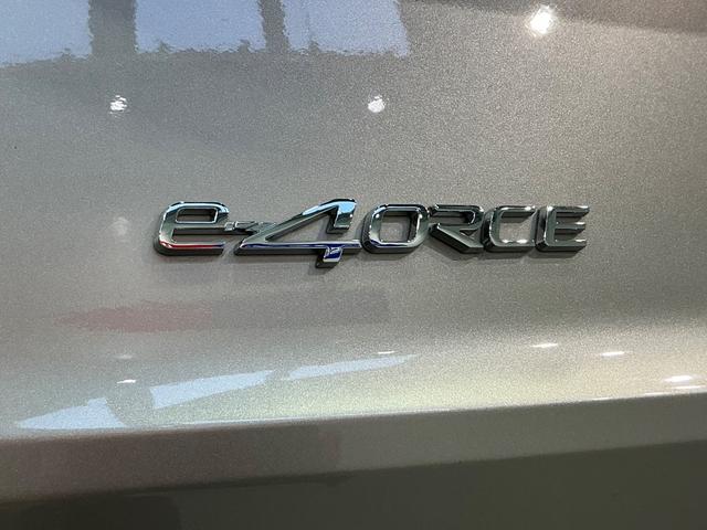 エクストレイル Ｇ　ｅ－４ＯＲＣＥ　４ＷＤ　メーカーナビ　前後ドラレコ試乗車　試乗車　１オーナー　パークアシスト　寒冷地仕様　ＬＥＤヘッドランプ　ナビＴＶ　スマートキー　レーダークルーズ　ＬＫＡ　キーフリー　ＥＴＣ　４ＷＤ　アルミホイール　メモリーナビ　ドライブレコーダー　ＰＳ（79枚目）