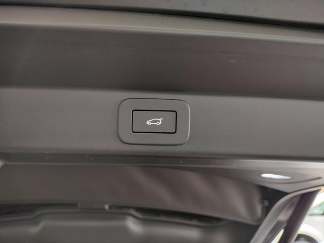 レンジローバースポーツ サテンエディション　３５台限定車／サテンプロテクティブフィルム／パノラマＳＲ／ブラックエクステリアＰ／２３インチカーボンＡＷ／ストーマーハンドリングＰ／ＭＥＲＩＤＩＡＮシグネチャーサウンド／急速クーラーボックス／ワンオナ（21枚目）