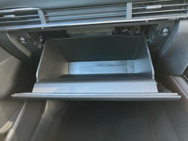 ＣＸ－３０ ２０Ｓ　Ｌパッケージ　新品タイヤ／ＢＯＳＥ／保証書／純正　ＳＤナビ／アイアクティブセンス（マツダ）／シートヒーター／３６０°ビューモニター／車線逸脱防止支援システム／シート　フルレザー／電動バックドア　革シート　ＤＶＤ再生（35枚目）