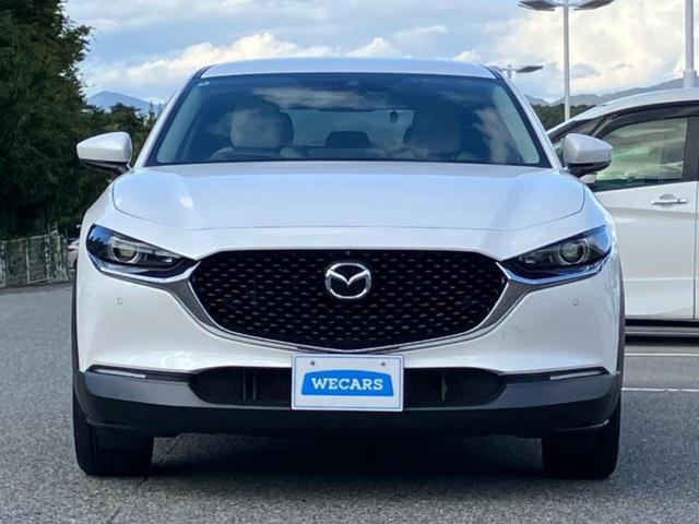 ＣＸ－３０ ２０Ｓ　Ｌパッケージ　新品タイヤ／ＢＯＳＥ／保証書／純正　ＳＤナビ／アイアクティブセンス（マツダ）／シートヒーター／３６０°ビューモニター／車線逸脱防止支援システム／シート　フルレザー／電動バックドア　革シート　ＤＶＤ再生（46枚目）