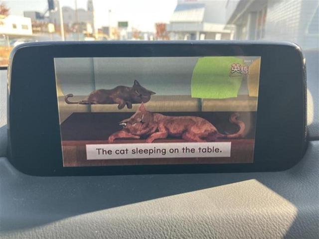 ＣＸ－５ ２０Ｓプロアクティブ　新品タイヤ／保証書／純正　ＳＤナビ／衝突安全装置／シートヒーター　前席／車線逸脱防止支援システム／ドライブレコーダー　前後／ヘッドランプ　ＬＥＤ／ＵＳＢジャック／Ｂｌｕｅｔｏｏｔｈ接続／ＥＴＣ（11枚目）