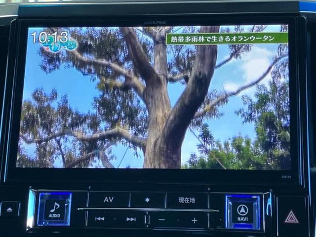 アルファード S Aパッケージ 保証書/社外 11インチ SDナビ/両側電動スライドドア/ヘッドランプ LED/Bluetooth接続/ETC/EBD付ABS/横滑り防止装置/フルセグTV/DVD/エアバッグ 運転席 ワンオーナー(13枚目)