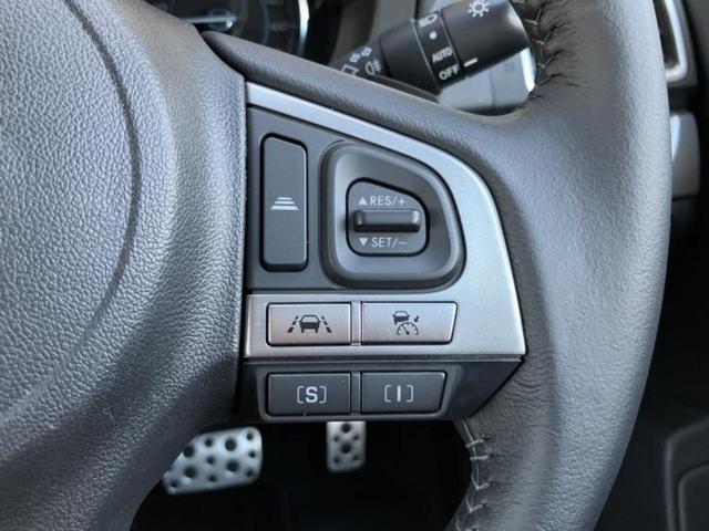 フォレスター ４ＷＤ　Ｓリミテッド　新品タイヤ／純正　ナビ／アイサイト／シートヒーター／車線逸脱防止支援システム／シート　ハーフレザー／ヘッドランプ　ＬＥＤ／Ｂｌｕｅｔｏｏｔｈ接続／ＥＴＣ／ＥＢＤ付ＡＢＳ／アイドリングストップ　４ＷＤ（30枚目）