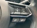 ４ＷＤ　ＸＤエクスクルーシブモード　サンルーフ／ＢＯＳＥ／保証書／純正　ＳＤナビ／衝突安全装置／シートヒーター　前席／３６０°ビューモニター／車線逸脱防止支援システム／シート　合皮／電動バックドア／ヘッドランプ　ＬＥＤ　電動シート（38枚目）