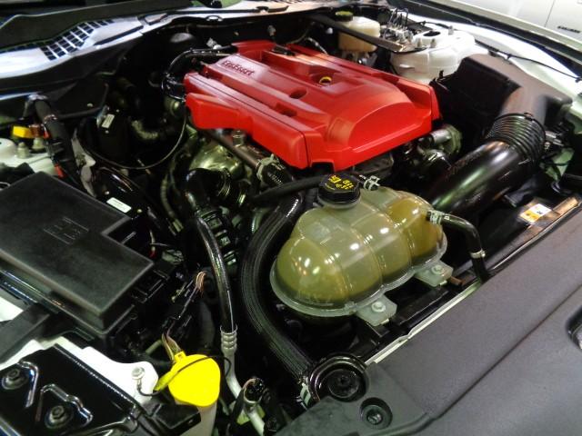 マスタング ５０イヤーズ　エディション　３５０台限定車２．３ＥＣＯＢＯＯＳＴターボ６速パドルＳステンマフラー車高調ＦブレンボＦＯＲＧＩＡＲＴ２０アルミ黒革インテリアディスプレイオーディオＳＨＡＫＥＲスピーカーパワーシートヒーターエアコン（42枚目）