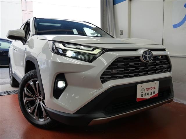 RAV4 ハイブリッドG サンルーフ 4WD フルセグ メモリーナビ ミュージックプレイヤー接続可 衝突被害軽減システム ETC LEDヘッドランプ ワンオーナー(24枚目)