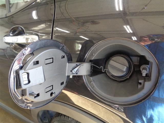 ライズ Z フルセグ メモリーナビ DVD再生 ミュージックプレイヤー接続可 衝突被害軽減システム ETC LEDヘッドランプ ワンオーナー アイドリングストップ(29枚目)