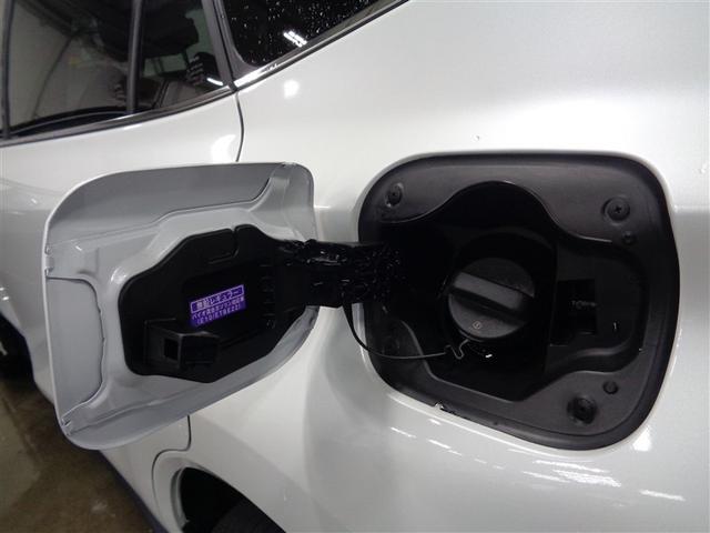 �������̃t�^�̗��ł��B���߂��������ȂƂ���܂ŁA�L���C�ɂ��܂��I�I