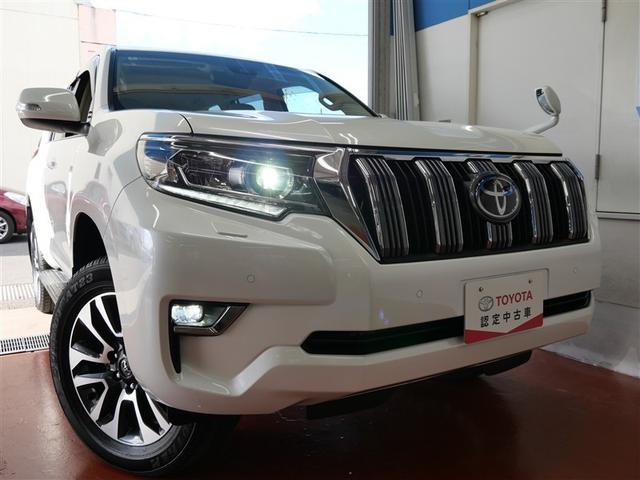 �k�d�c�w�b�h���C�g�ł��B�f�U�C�������ǂ��ƂĂ����邢�̂ŁA��Ԃ̑��s�∫�V��ł����S�ł��B�������������I