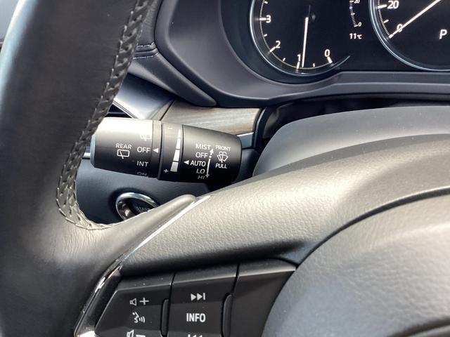 �I�[�g���C�p�[