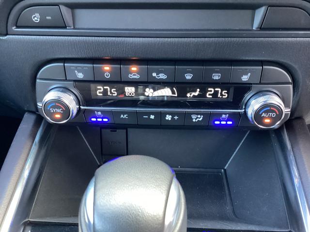 �t���[�I�[�g�G�A�R���B�O�ȃx���`���[�V�����t���I