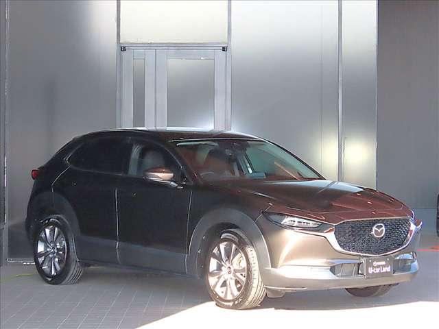 ＣＸ－３０ ２．０　２０Ｓ　プロアクティブ　ツーリングセレクション　ワンオーナー　バックカメラ　純正ナビ（3枚目）