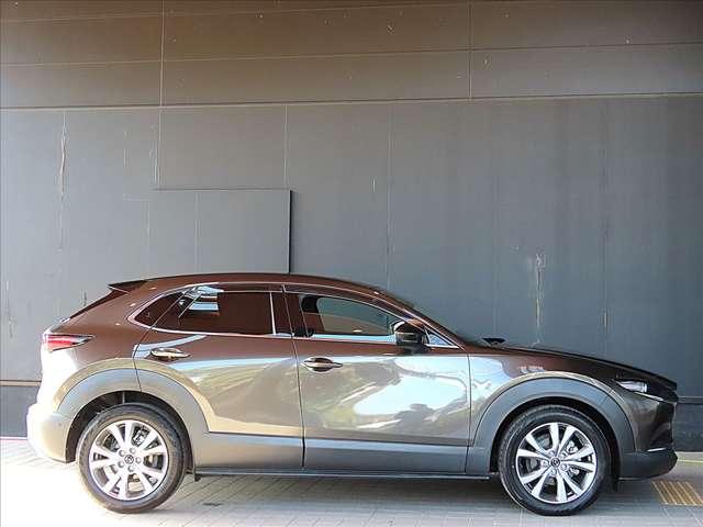 ＣＸ－３０ ２．０　２０Ｓ　プロアクティブ　ツーリングセレクション　ワンオーナー　バックカメラ　純正ナビ（6枚目）