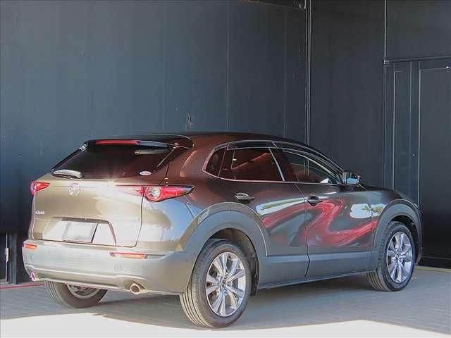 ＣＸ－３０ ２．０　２０Ｓ　プロアクティブ　ツーリングセレクション　ワンオーナー　バックカメラ　純正ナビ（7枚目）