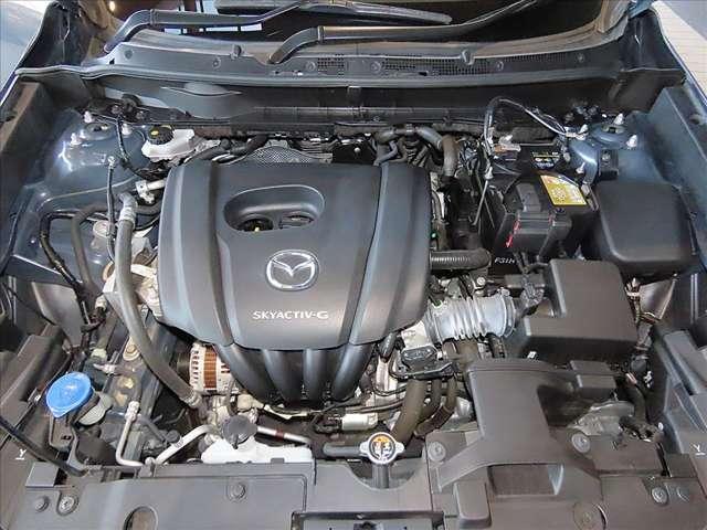 �G���W���I�C���E�I�C���t�B���^�[�͐V�i�������Ă��n���v���܂��B���̑��E�����E�t���i���t�����������k����܂��B���C�y�ɂ����k������