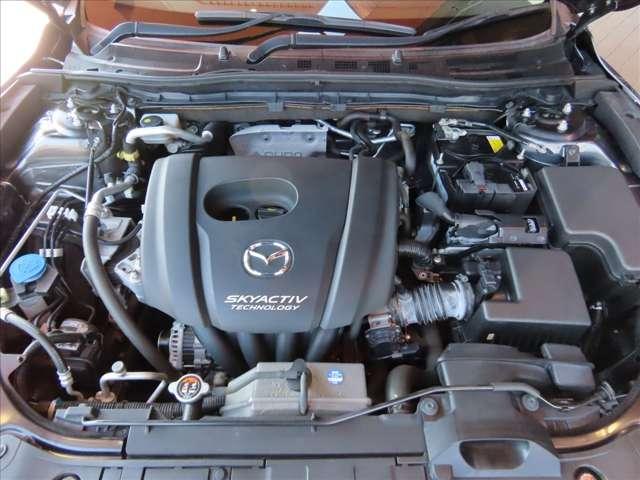 �G���W���I�C���E�I�C���t�B���^�[�͐V�i�������Ă��n���v���܂��B���̑��E�����E�t���i���t�����������k����܂��B���C�y�ɂ����k������