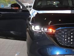 �����ץƥ��֣̣ţĥإåɥ饤�Ȥ��������ϥ��������ˡ�������ư�ǹԤ������Ǥʤ����ȼ����������⼫ư�ǹԤ��ޤ� 6