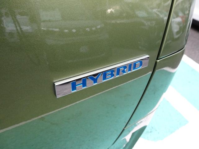 eKクロススペース G プレミアム マイパイロット 両側電動スライド デジタルルームミラー マルチアラウンドモニター ハンズフリーオートスライド アイドリングストップ スマートキー(45枚目)