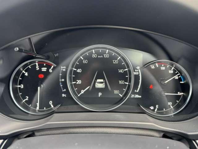 �f�W�^���ƃA�i���O�����܂��Z�����Ă��邱�̃��[�^�[�́A���F�����ǍD�ł���A�h���C�o�[�ɂƂ��ĕK�v�ȃC���t�H���[�V�������킩��₷���`���Ă���܂��B