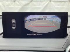 ���顼�Ǹ����������˥����˱Ǥ��Ф��Ƥ����Τǡ�����åԥ󥰥⡼��Τ褦�ʶ�����־�Ǥ��ä��Ȥ��Ƥ�㳲ʪ�򸫤Ĥ����ڡ���֤��뤳�Ȥ��Ǥ��ޤ��͡� 6