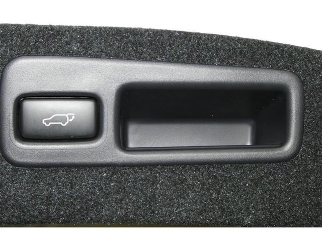 ハリアー プレミアム　大型サンルーフ　カーテンエアバッグ　クルーズＣ　Ｂカメラ　電動パワーシート　ＬＥＤライト　メモリナビ　横滑り防止機能　オートエアコン　Ａストップ　エアバッグ　ＡＷ　ＤＶＤ再生可　パワーウィンドウ（10枚目）