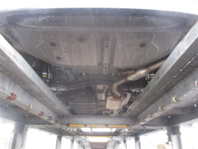 �K�╅�H���Ȃ����ꂢ�ȏ�Ԃł��B�܂��܂����S���Ă���肢�������܂��B