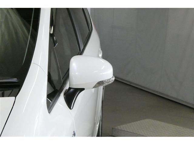 �^�[�������v�t���h�A�~���[�ł��B