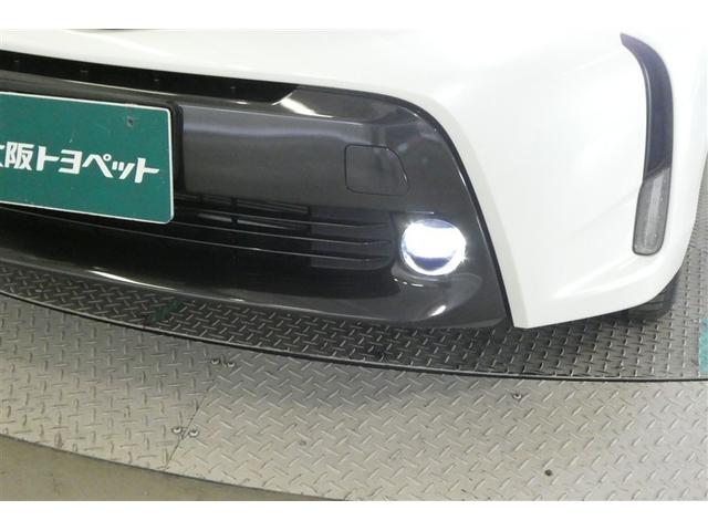 ��ԃt�H�O�����v�Ŗ��邢�ł��B