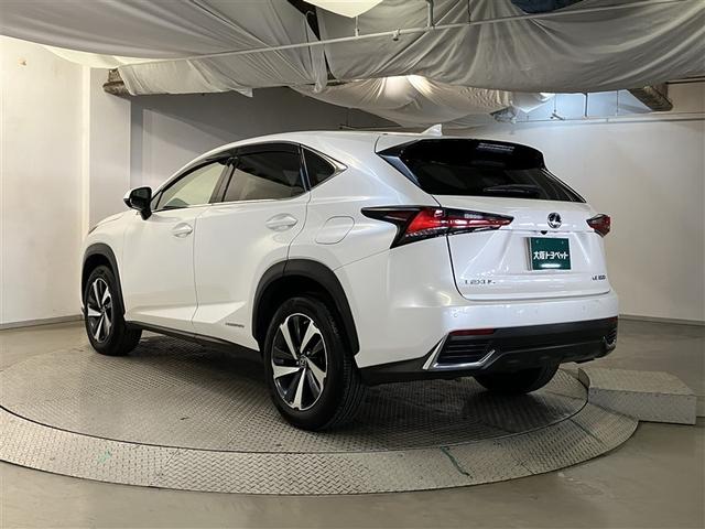 ＮＸ ＮＸ３００ｈ　バージョンＬ　衝突被害軽減装置　地上デジタル　クルコン　ガラスルーフ　１００Ｖ充電　電動シート　メディアプレイヤー接続　ナビＴＶ　アルミホイール　パワーウィンドウ　メモリーナビ　ＥＴＣ　ＤＶＤ再生　ＬＥＤライト（6枚目）