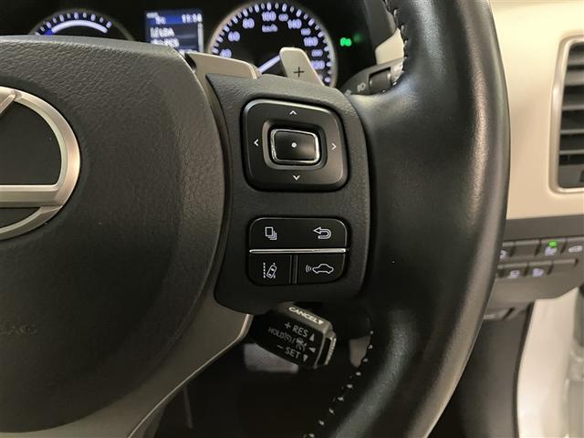 ＮＸ ＮＸ３００ｈ　バージョンＬ　衝突被害軽減装置　地上デジタル　クルコン　ガラスルーフ　１００Ｖ充電　電動シート　メディアプレイヤー接続　ナビＴＶ　アルミホイール　パワーウィンドウ　メモリーナビ　ＥＴＣ　ＤＶＤ再生　ＬＥＤライト（24枚目）