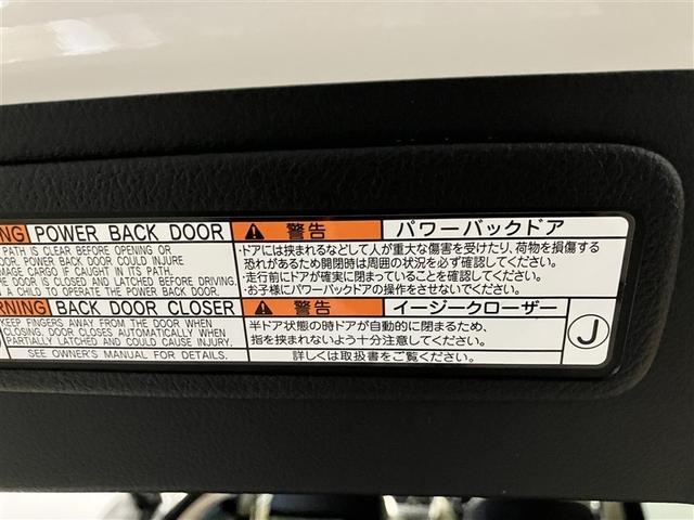 ＮＸ ＮＸ３００ｈ　バージョンＬ　衝突被害軽減装置　地上デジタル　クルコン　ガラスルーフ　１００Ｖ充電　電動シート　メディアプレイヤー接続　ナビＴＶ　アルミホイール　パワーウィンドウ　メモリーナビ　ＥＴＣ　ＤＶＤ再生　ＬＥＤライト（25枚目）