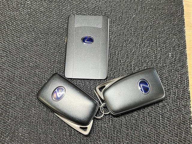 ＮＸ ＮＸ３００ｈ　バージョンＬ　衝突被害軽減装置　地上デジタル　クルコン　ガラスルーフ　１００Ｖ充電　電動シート　メディアプレイヤー接続　ナビＴＶ　アルミホイール　パワーウィンドウ　メモリーナビ　ＥＴＣ　ＤＶＤ再生　ＬＥＤライト（40枚目）