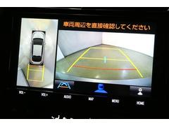 ξ㳲ʪ⺣ޤǸʤäѤ̵˰Ǥ 5