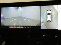 �����ξ㳲ʪ�⺣�ޤǸ����ʤ��ä���Ѥ����̵�������˰����Ǥ��� 2